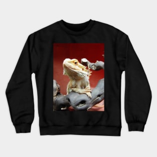 Bearded Dragon Crewneck Sweatshirt